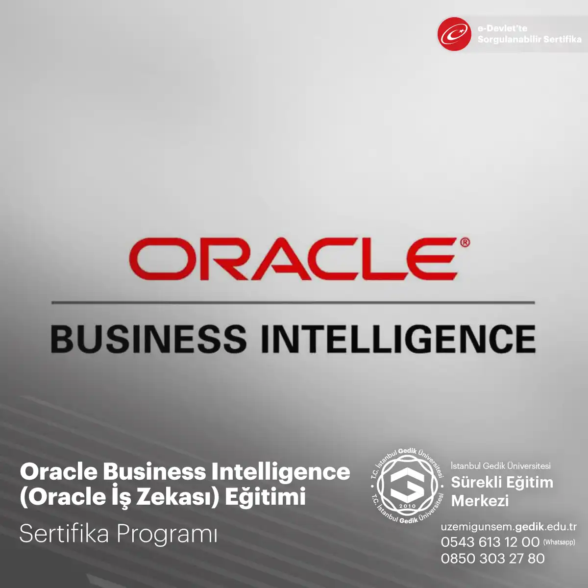 Oracle Business Intelligence (Oracle İş Zekası) Eğitimi 